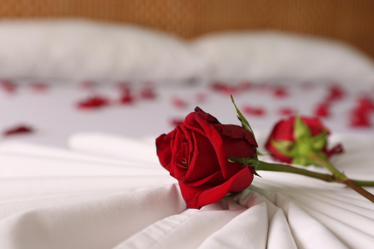 Hotel Anamichu Suites Melgar Dış mekan fotoğraf